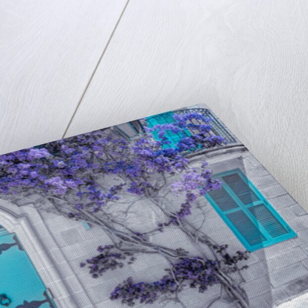 Maltese house in Mdina, Malta by Assaf Frank